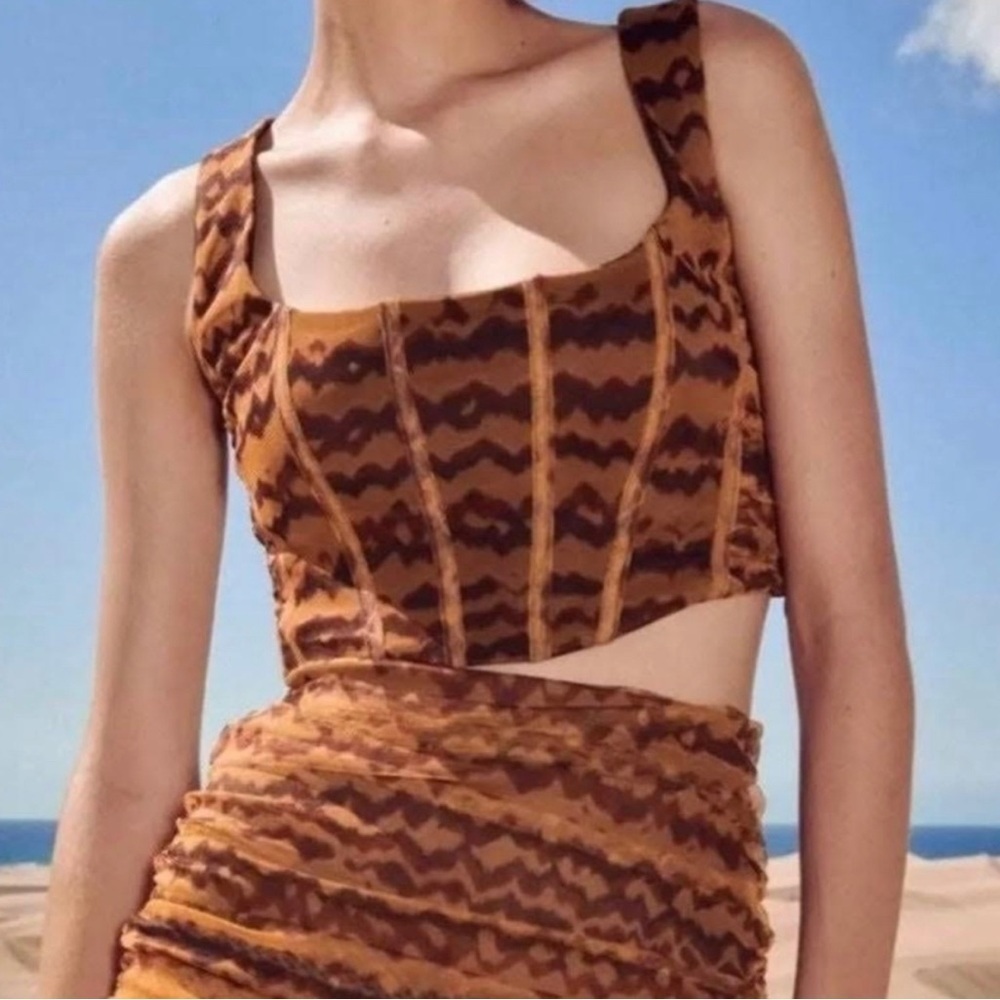 NWT Zara Brown Tulle Corset Bustier Structured Boning Top Small